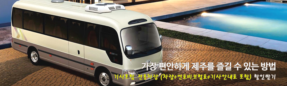 기사포함 전용차량