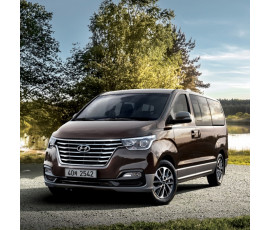 더뉴스타렉스 9인승