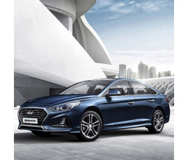 LF소나타 뉴라이즈