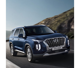 팰리세이드 8인승