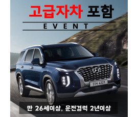 팰리세이드 8인승 + 고급자차